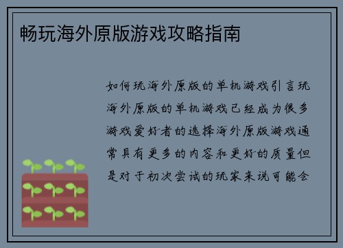 畅玩海外原版游戏攻略指南