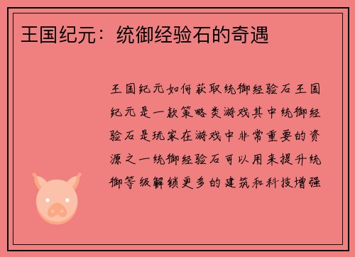 王国纪元：统御经验石的奇遇