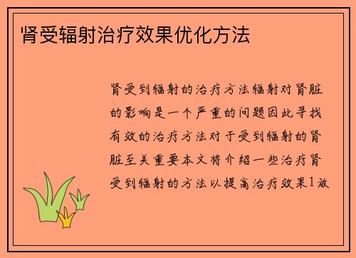 肾受辐射治疗效果优化方法