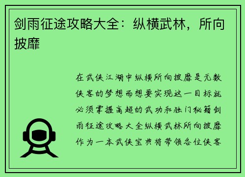剑雨征途攻略大全：纵横武林，所向披靡